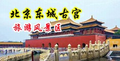 美国淫水中国北京-东城古宫旅游风景区